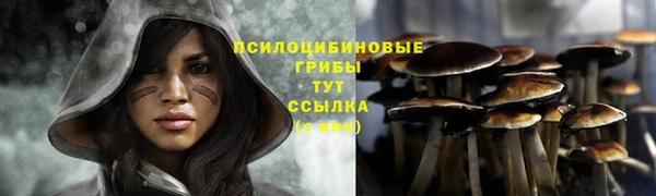 трава Абдулино