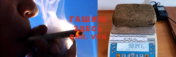 гидра Абаза