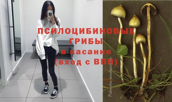 гидра Абаза