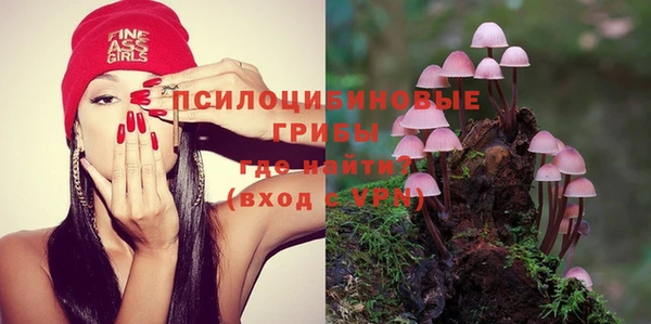 гидра Абаза